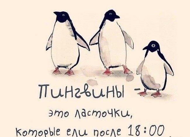 Пингвины - это ласточки которые ели по 18 часов